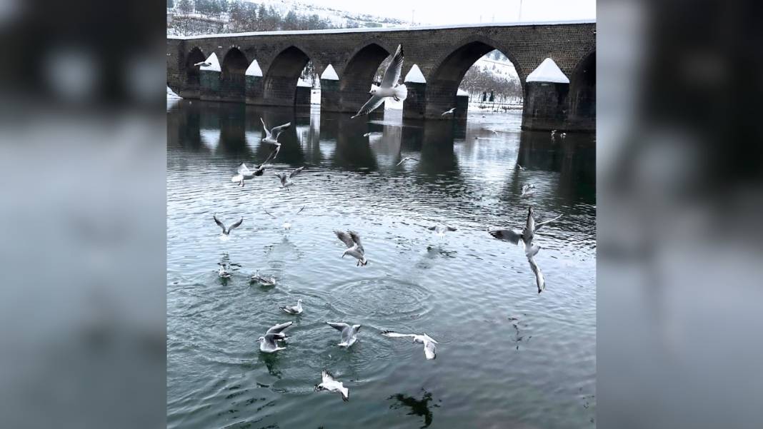 Dicle Nehri’nden muhteşem kış görüntüleri! 4